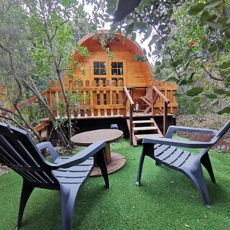 Ma Au Fond Du Jardin *